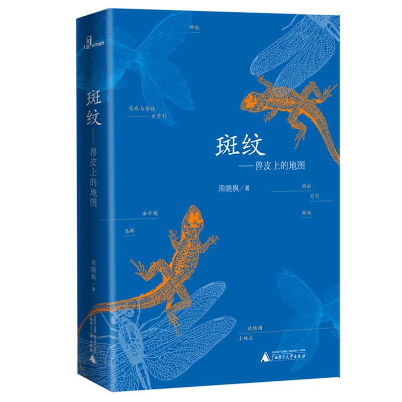斑纹——兽皮上的地图