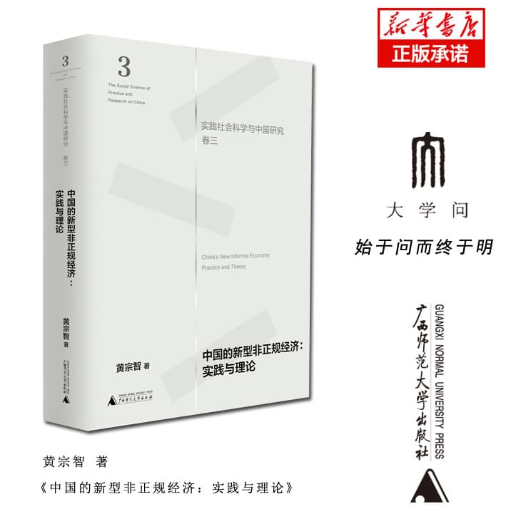 中国的新型非正规经济——实践与理论——practice and theory