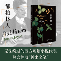 都柏林人