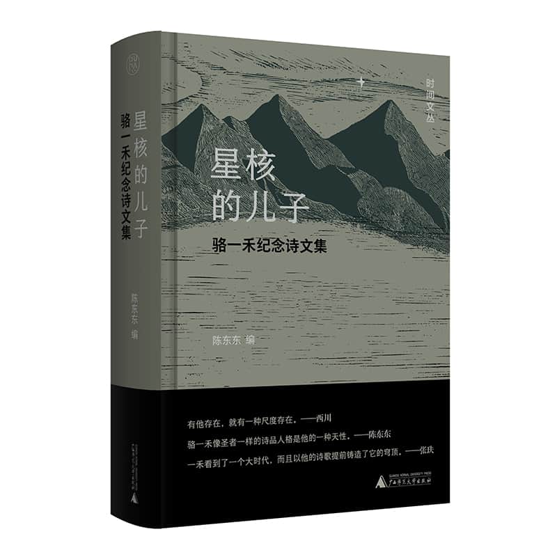 星核的儿子——骆一禾纪念诗文集