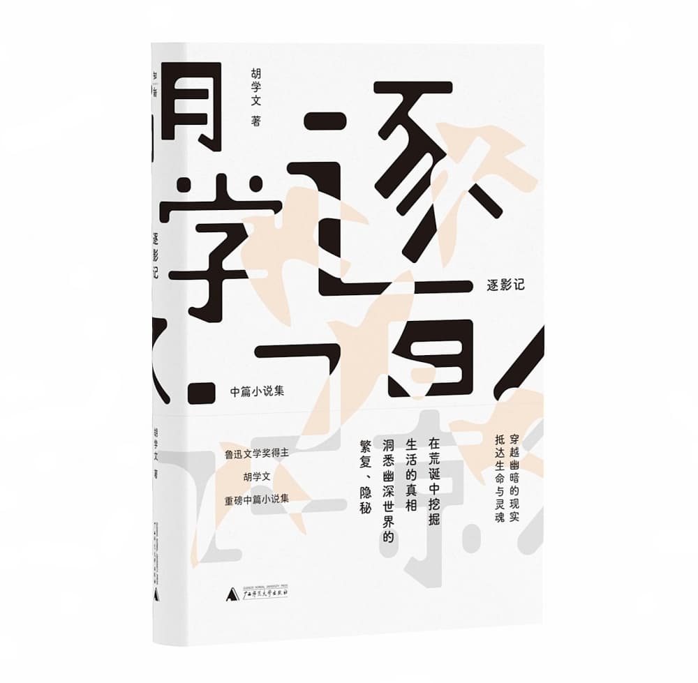 逐影记