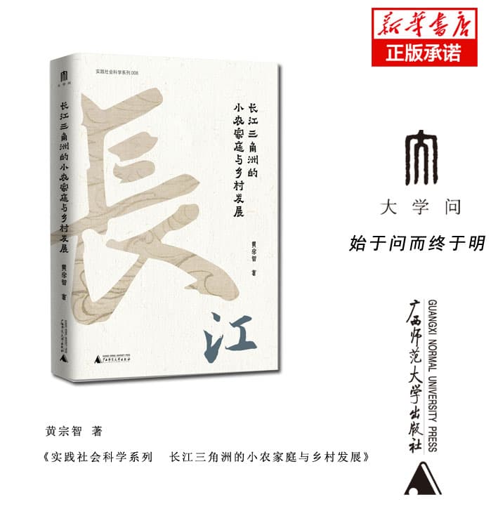 长江三角洲的小农家庭与乡村发展