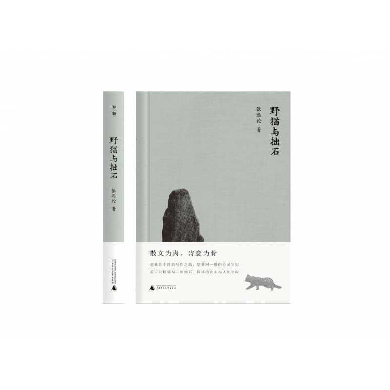 野猫与拙石