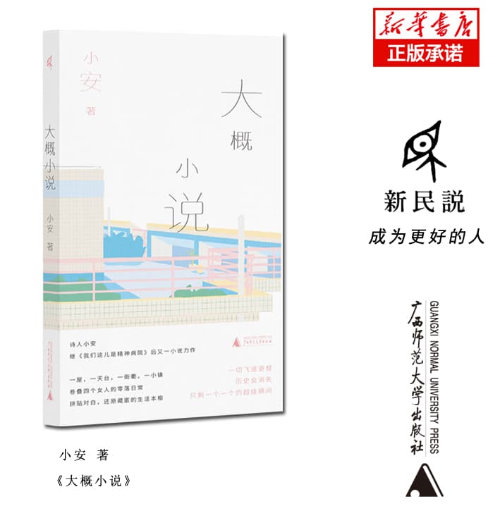 大概小说