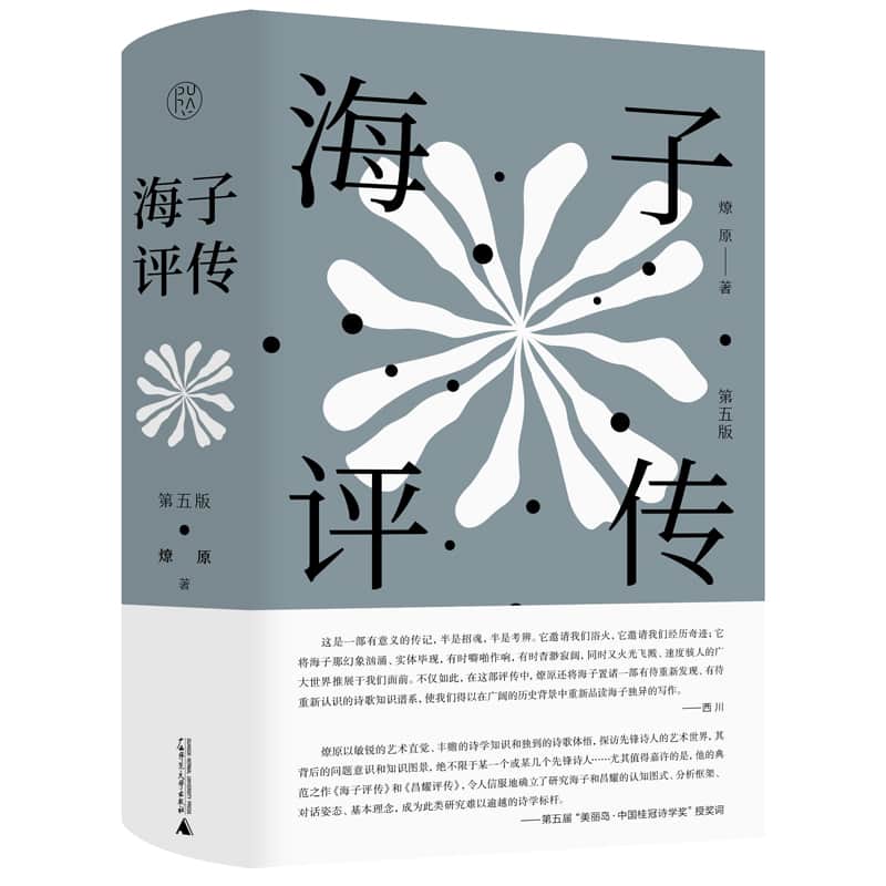 海子评传