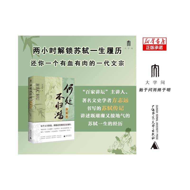 何处不归鸿——苏轼传