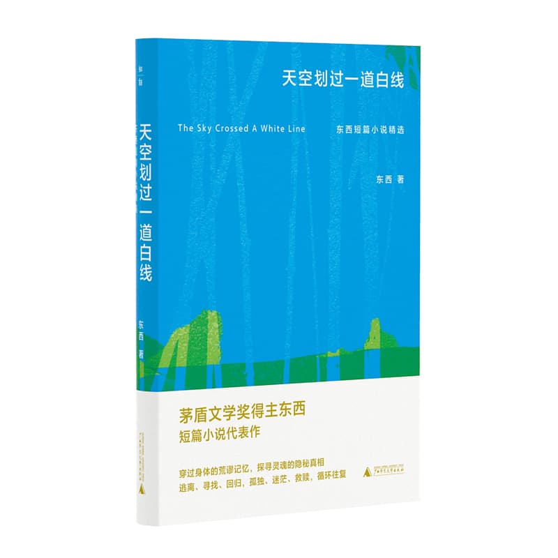 天空划过一道白线——东西短篇小说精选