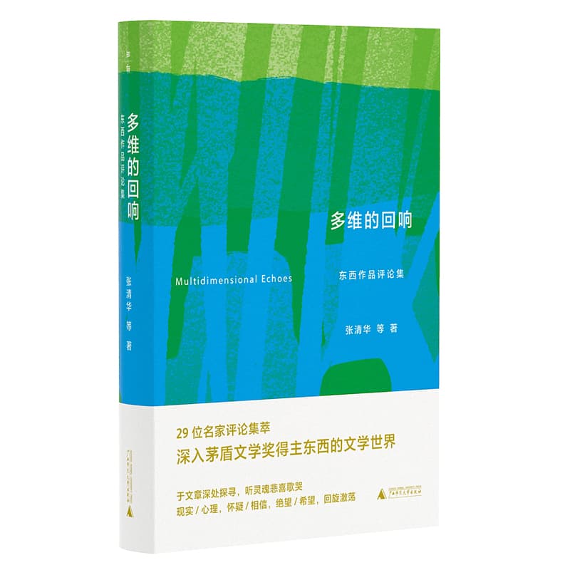 多维的回响——东西作品评论集