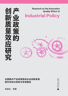 产业政策的创新质量效应研究