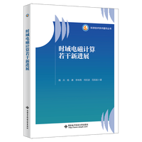 时域电磁计算若干新进展