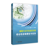 城镇片区开发投资决策综合性咨询理论与实务