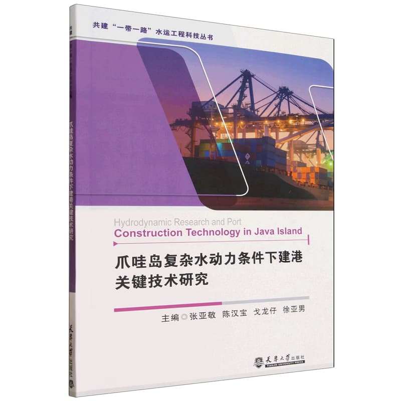 爪哇岛复杂水动力条件下建港关键技术研究