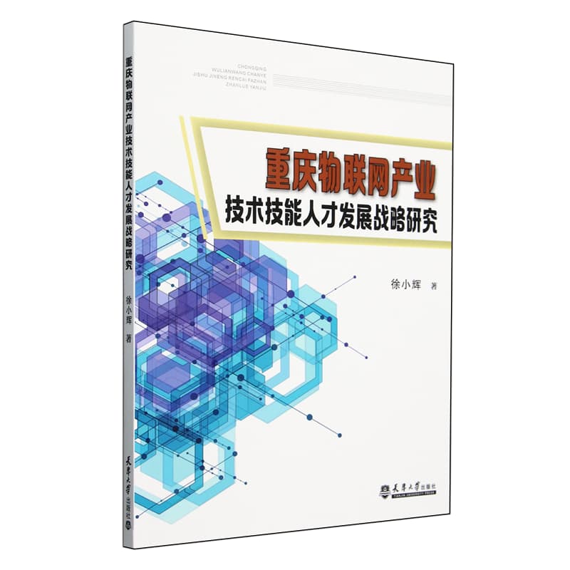 重庆物联网产业技术技能人才发展战略研究