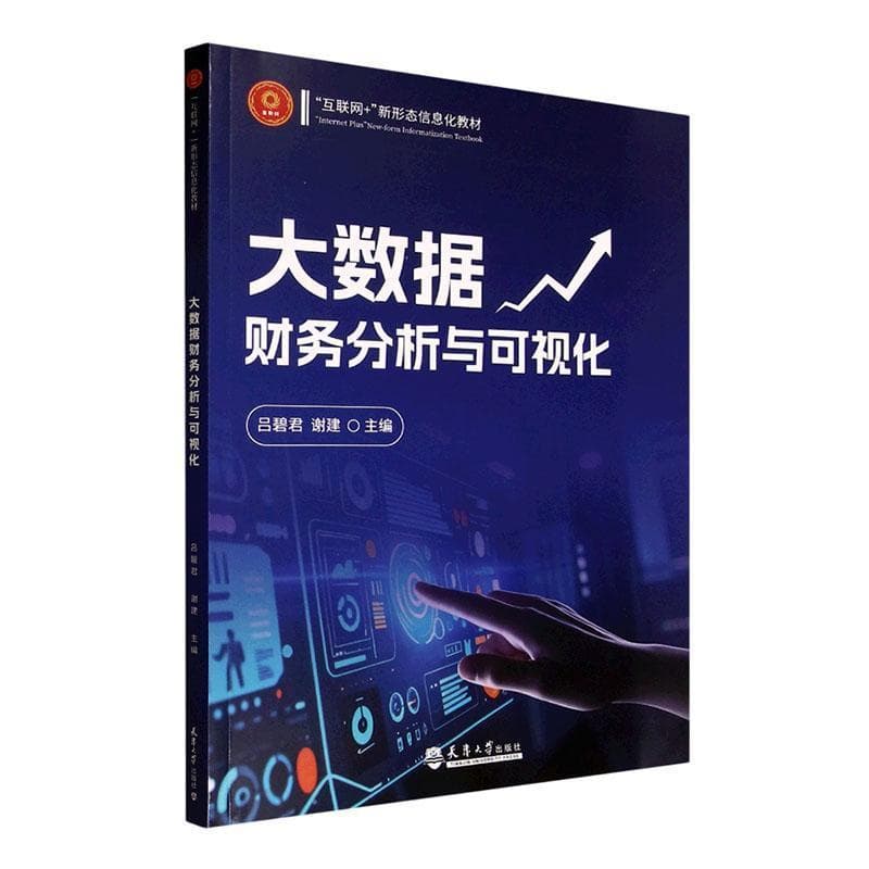 大数据财务分析与可视化