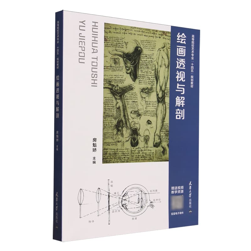 绘画透视与解剖