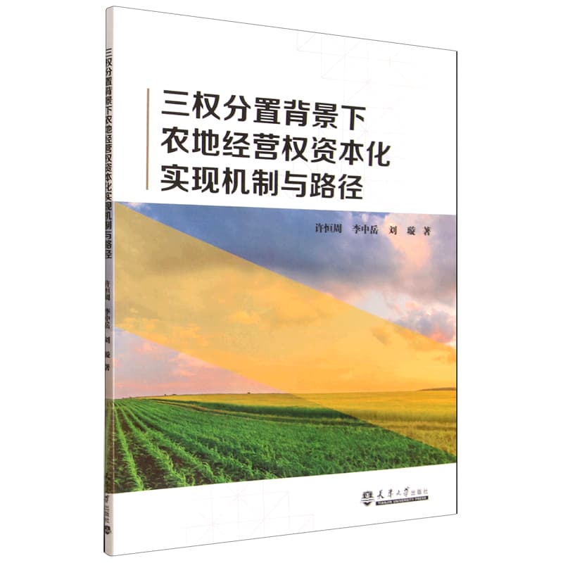 三权分置背景下农地经营权资本化实现机制与路径