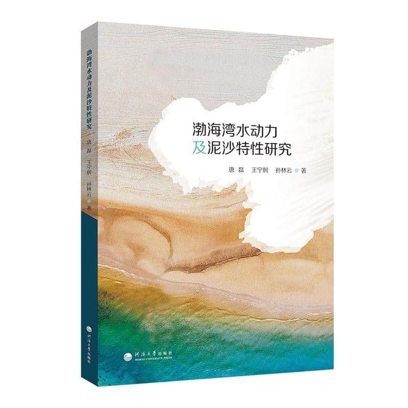 渤海湾水动力及泥沙特性研究