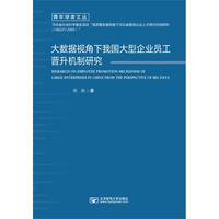 大数据视角下我国大型企业员工晋升机制研究