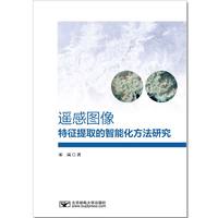 遥感图像特征提取的智能化方法研究