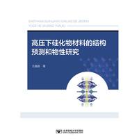 高压下硅化物材料的结构预测和物性研究