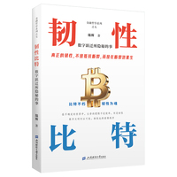 韧性比特：数字跃迁所隐秘的事