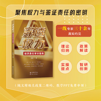 穿透权力——经济责任审计指南
