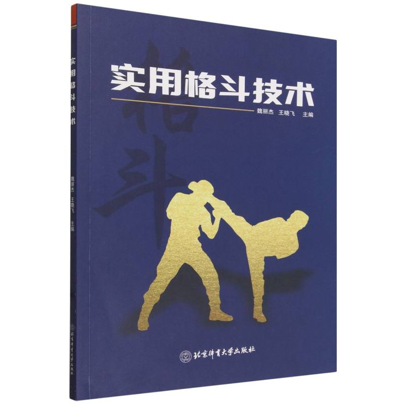 实用格斗技术