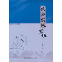 武当实战掌法
