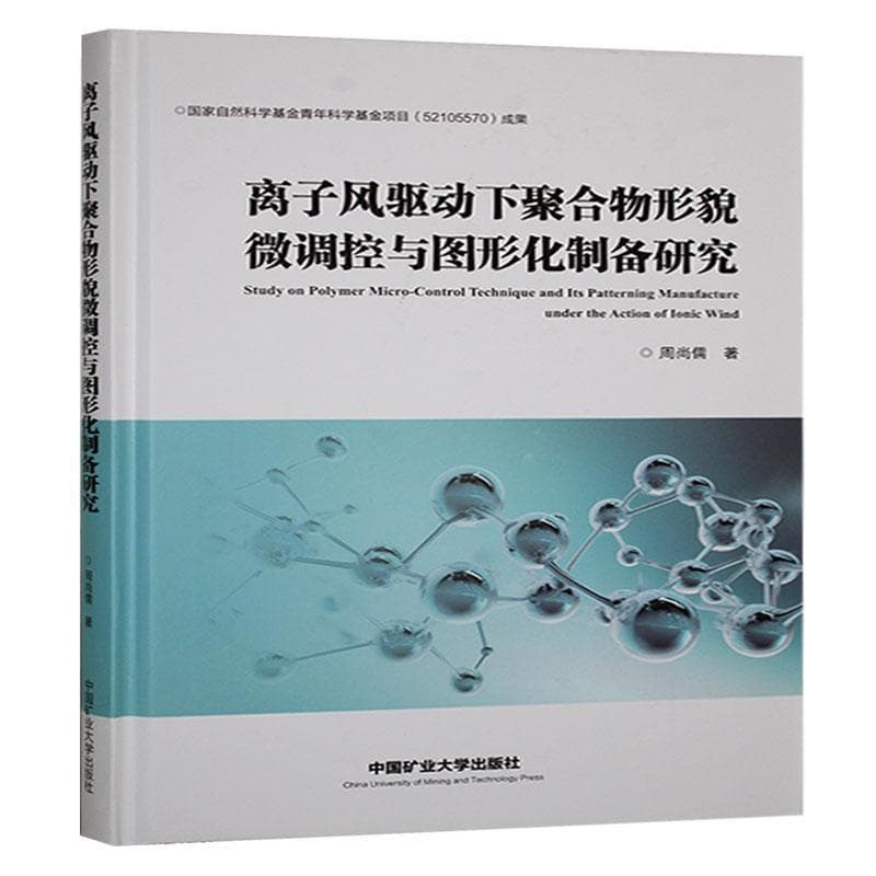 离子风驱动下聚合物形貌微调控与图形化制备研究