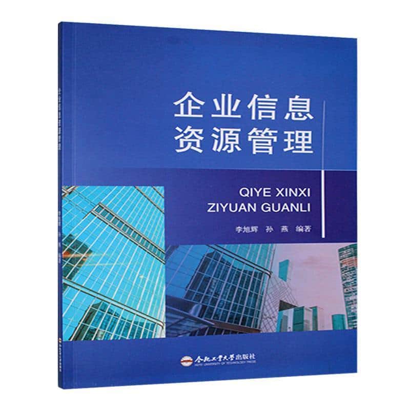 企业信息资源管理