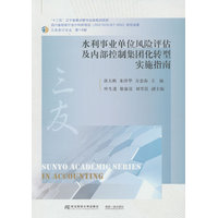 水利事业单位风险评估及内部控制集团化转型实施指南