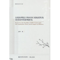 自组织理论下的SERU系统柔性及其对效率的影响研究