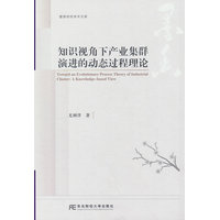 知识视角下产业集群演进的动态过程理论——a knowledge-based view