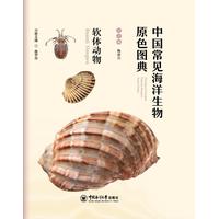 中国常见海洋生物原色图典:软体动物