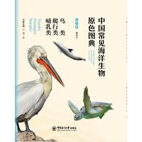 中国常见海洋生物原色图典:鸟类 爬行类 哺乳类