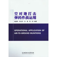 空对地打击弹药作战运用