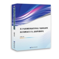 基于电荷调控的新型单原子光催化材料设计策略及其CO?还原性能研究