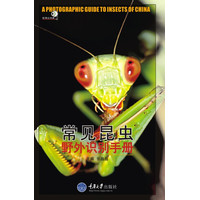 常见海滨动物野外识别手册