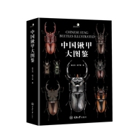 中国锹甲大图鉴