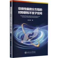 非线性偏微分方程的对称群和不变子空间