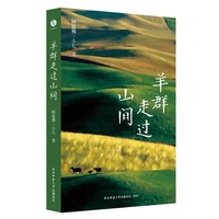 羊群走过山间