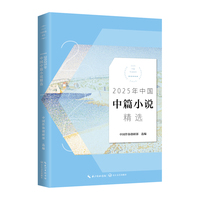2025年中国中篇小说精选