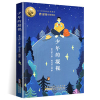 少年的凝视