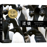 迁徙——wildlife in motion