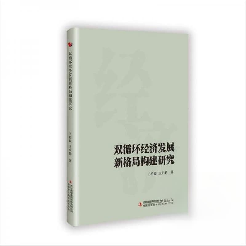 双循环经济发展新格局构建研究