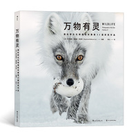 万物有灵——国际野生生物摄影年赛第53届获奖作品——photographer of the year portfolio 27