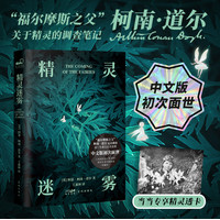 精灵迷雾