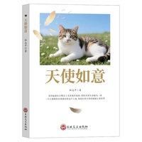 天使如意