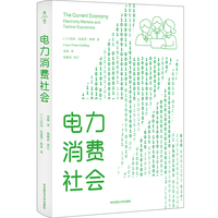 电力消费社会——electricity markets and technoeconomics