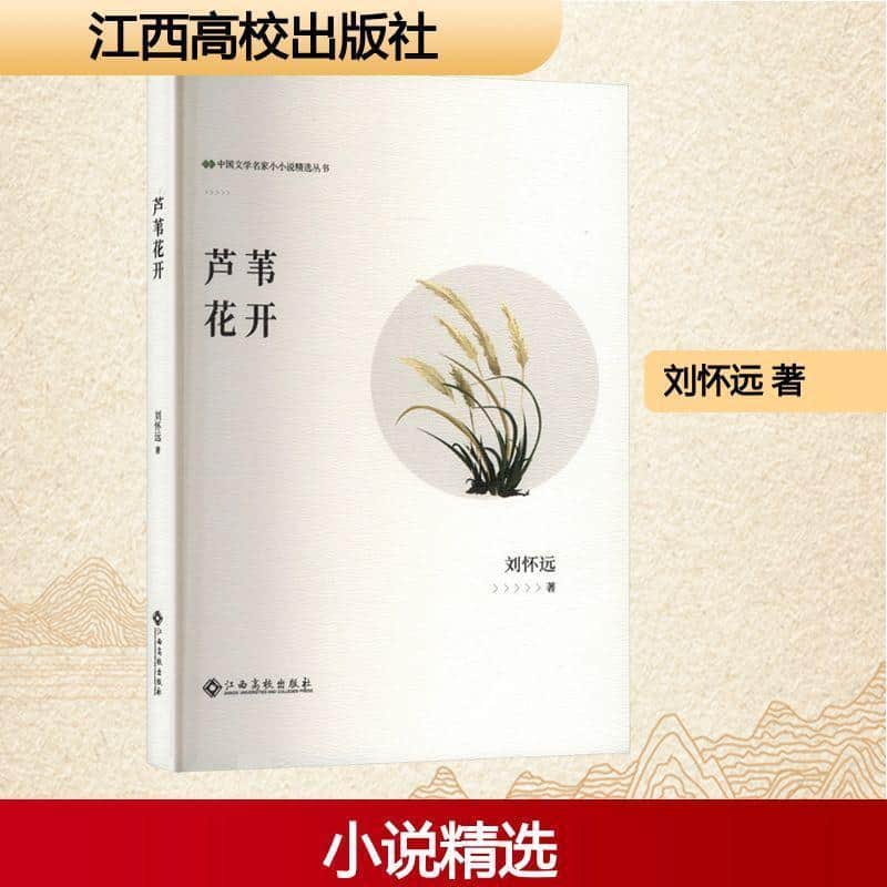 芦苇花开